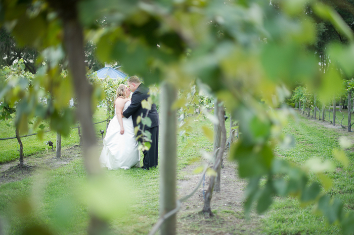 Vineyard DIY Wedding in Florida by Andi Diamond Photography