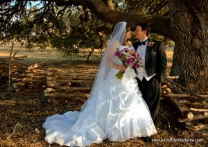 plus size bride
