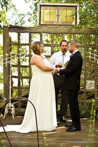 plus size bride