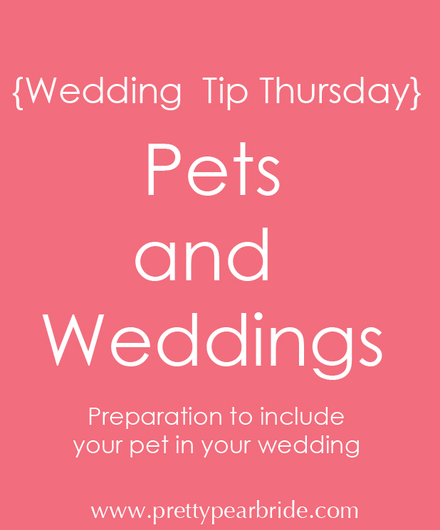 {Wedding Tip Thursday} Pets and Weddings