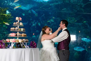 plus size bride, plus size bridal magazine