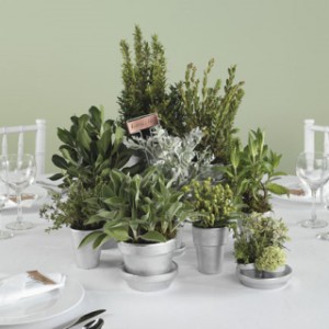 potted-plant-centerpieces04