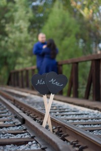 plus size bride, plus size engagement