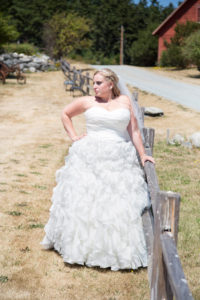 plus size wedding gown, plus size bride, tulle, plus size david's bridal wedding gown