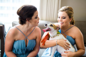 blue bridesmaid dresses, dog wearing a flower wedding collar