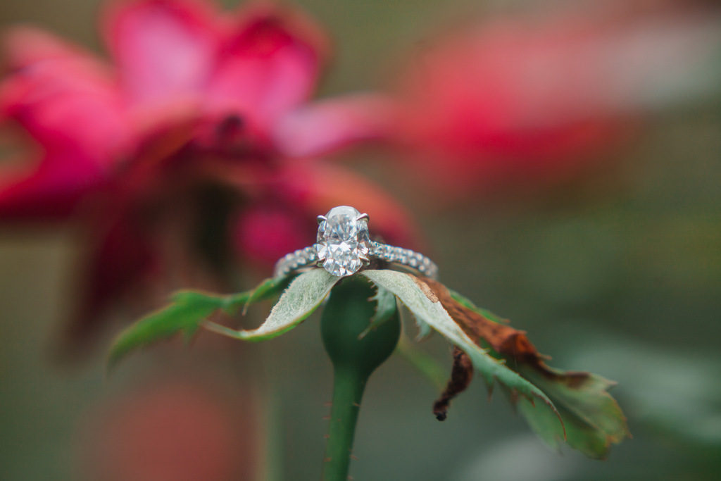 ENGAGEMENT | Where Nature and Art Collide in North Carolina | Hannah Nicole Photography | Pretty Pear Bride