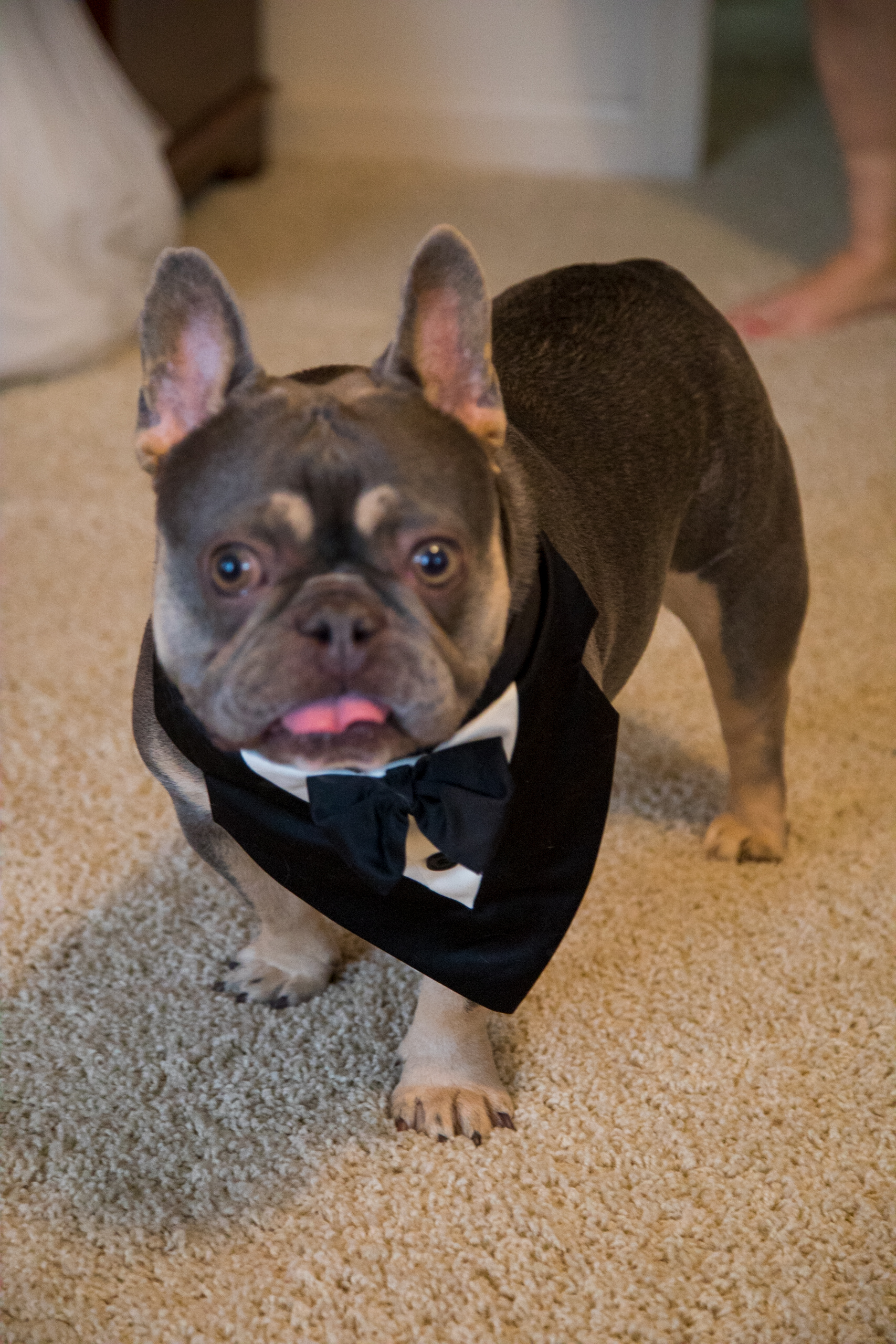 Romantic and Sentimental Pittsburg Wedding with a Cookie Table | Pretty Pear Bride