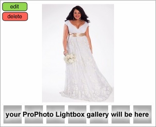 plus size light in the box dresses
